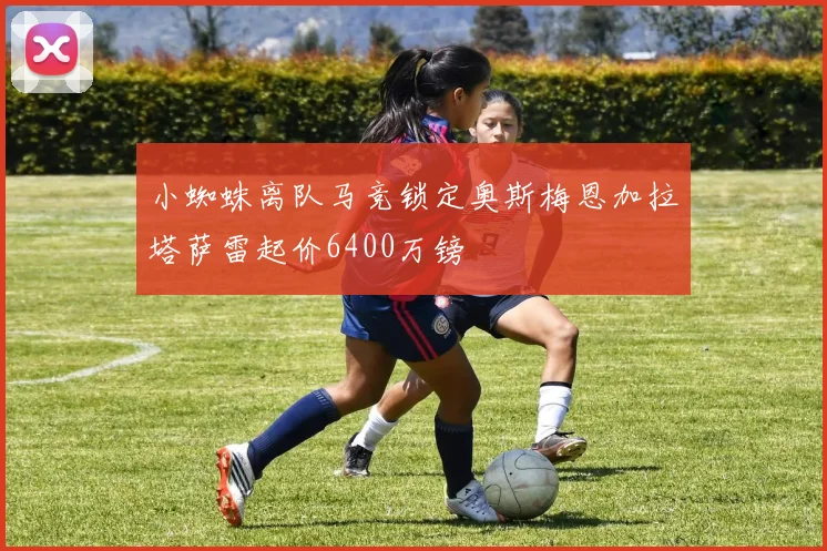 小蜘蛛离队马竞锁定奥斯梅恩加拉塔萨雷起价6400万镑